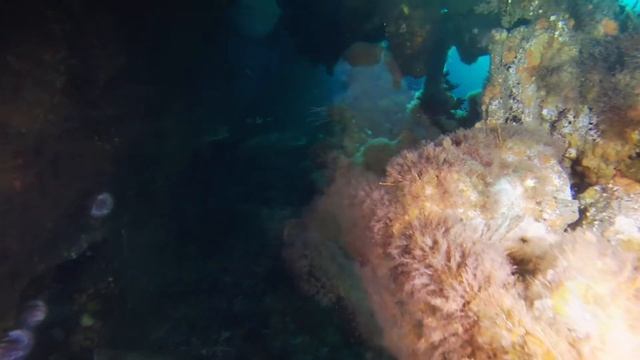 Blockship Wreck Tabarka смотреть онлайн