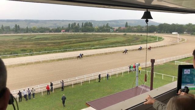 Кубок Кавказа. Рысаки и иноходцы. Пятигорский ипподром 2021. смотреть онлайн