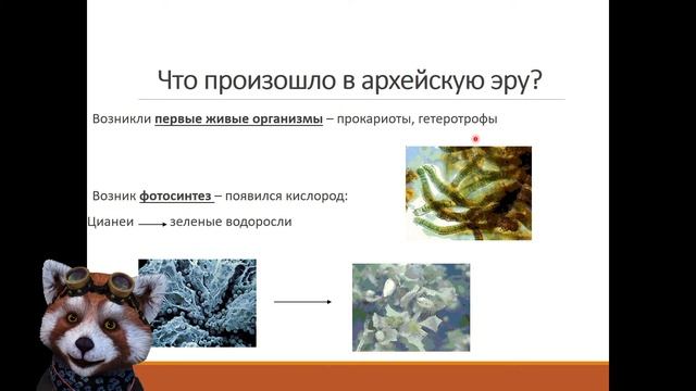 Архейская и протерозойская эры смотреть онлайн