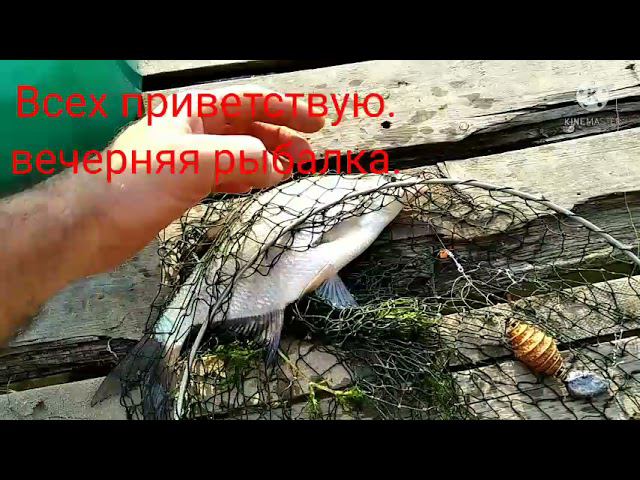 Рыбалка 8 августа. смотреть онлайн