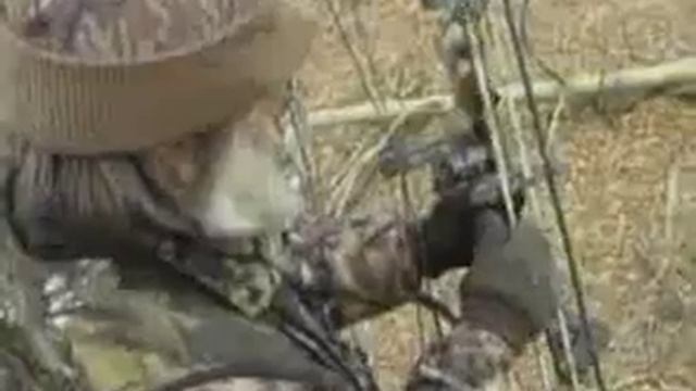 Охота на кабана с луком Mathews смотреть онлайн