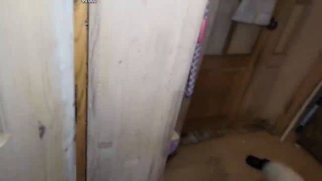 а хаски Кобу мы кормить не будем