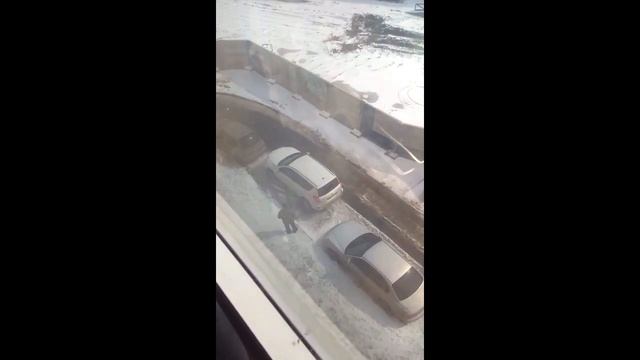 Цирк на Рав 4 смотреть онлайн