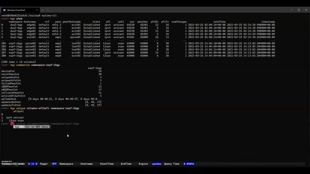 Suzieq Getting Started смотреть онлайн