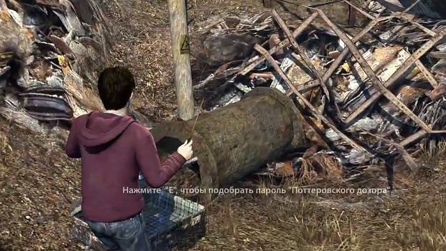 Гарри Поттер и Дары Смерти: Часть первая #9 События в лесу