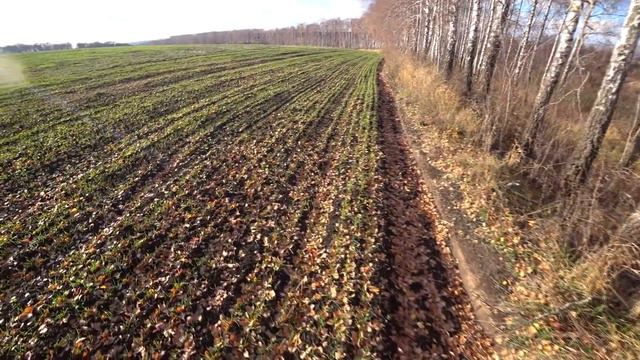 Відкриття на зайця 2021. Гадяч