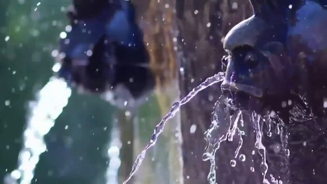 Альянс На Воронеж смотреть онлайн