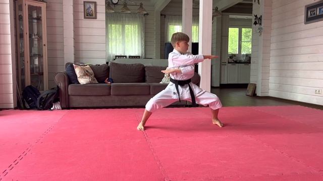 Tekki Shodan. Home training . Домашняя тренировка. Текки Шодан. 11 лет. Средний темп. смотреть онлайн
