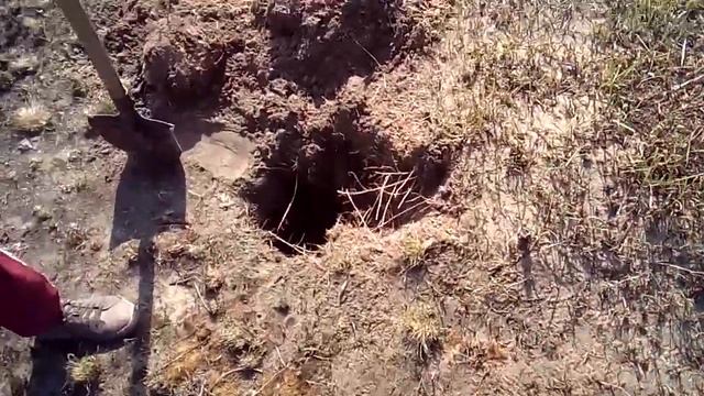 ПОИСК МОНЕТ РОЗВЕДКА НОВЫХ МЕСТ ИЛИ КАК МЫ ЗОЛОТО ИСКАЛИ))) смотреть онлайн