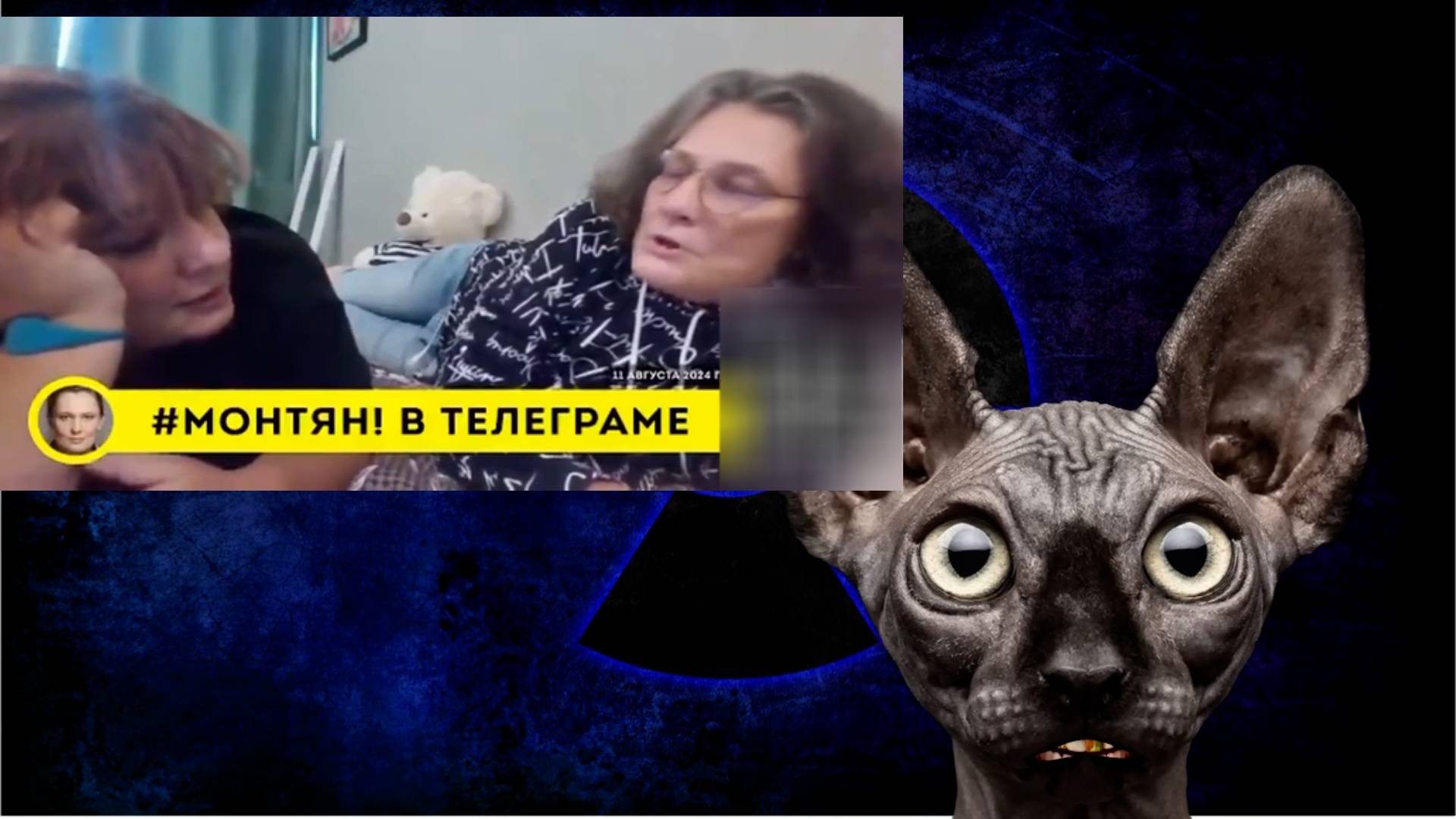 Сводки с фронтОв с Котом Костяном от 17.08.2024 смотреть онлайн