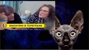 Сводки с фронтОв с Котом Костяном от 17.08.2024