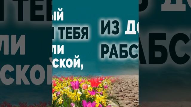 Золотые стихи Библии. Я Господь, Бог твой. Первая заповедь смотреть онлайн