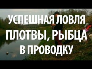 ПЛОТВА и РЫБЕЦ на ПОПЛАВОК. ЛОВЛЯ в ПРОВОДКУ на МАЛЫХ РЕКАХ с НОРМУНДОМ