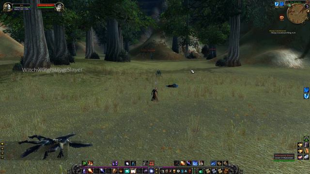 Witchwing Slayer Location WoW Classic