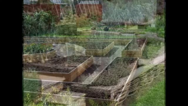 Огород своими руками фото смотреть онлайн