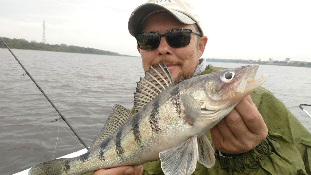 Когда молчит поролон, выручает силикон. Рыбалка на джиг 1 сентября. смотреть онлайн