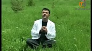 Толиби Абдулло - Кабки дарӣ #обунашавед #подписывайтесь