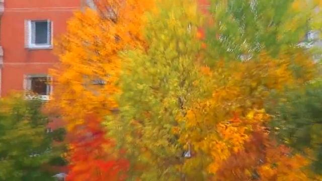 Висагинас Бабье лето (Visaginas Indian summer) смотреть онлайн