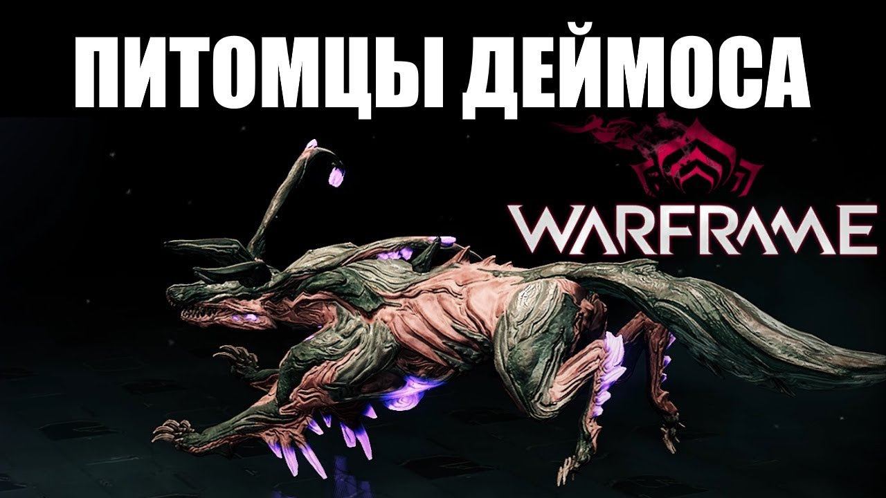 Warframe Лучший питомец за все время билд обзор смотреть онлайн