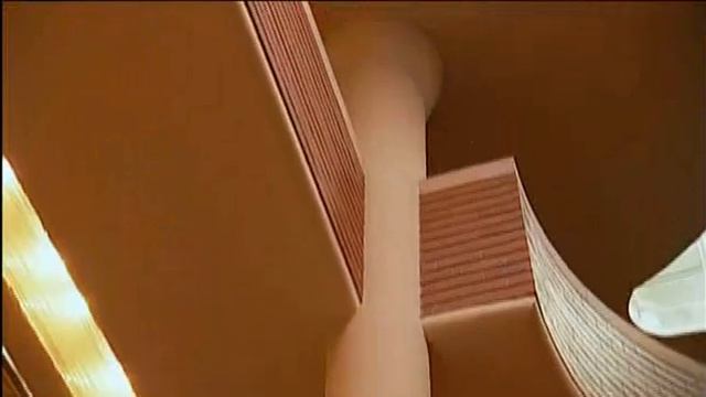 Le Bâtiment Johnson - Frank Lloyd Wright. смотреть онлайн