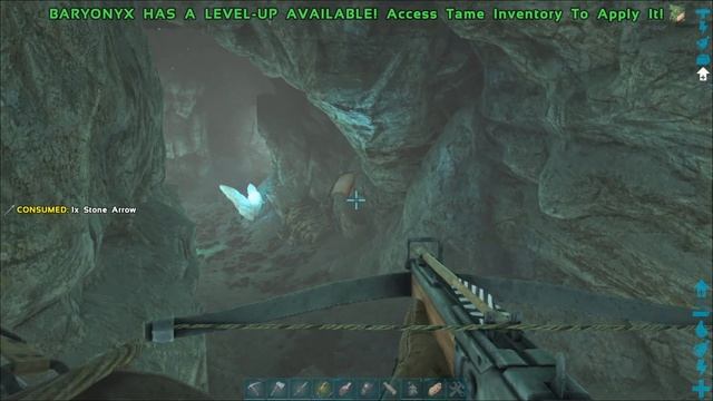 Artifact of the Clever - The Island - Ark: Survival Evolved Cz / Sk - Tutorial Návod смотреть онлайн