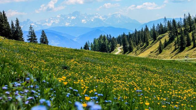 То, чему не учат в школе смотреть онлайн