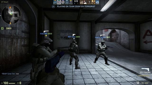 CSGO COMPETITIVE/SURFING *FULL STREAM* смотреть онлайн
