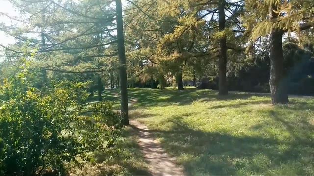Present simple and present continuous with morning walk-المضارع البسيط و المستمر في نزهة صباحية смотреть онлайн