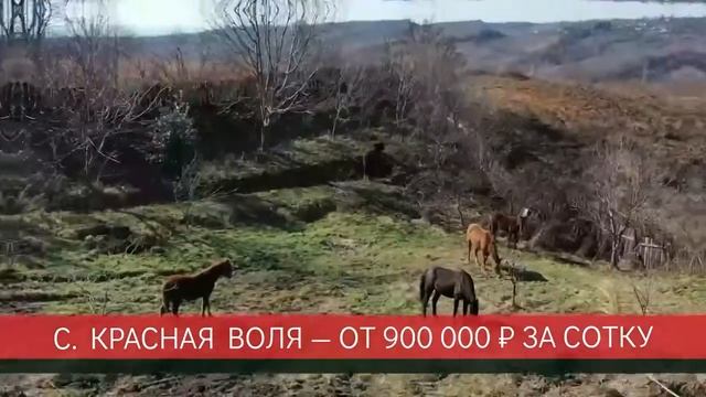 Продажа земельных участков от застройщика в Сочи и Адлере! Участки ИЖС и СНТ от 2,5 соток. смотреть онлайн