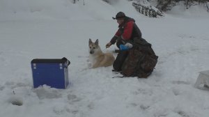 Зимняя рыбалка. Ловим хариуса на мормышку и рабочую обманку (шитик). Рыбалка в Коми 2020.