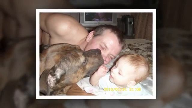 Мой любимый папочка смотреть онлайн