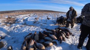 ГУСЬ ПОПЁР!!! ОХОТА НА ГУСЯ В ЯКУТИИ!