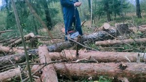 Стоит ли брать бензопилу ЗУБР М62-50