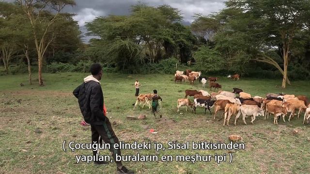 Barış Manço'dan 36 yıl sonra AYNI YER AYNI ADAM !! (43. Bölüm) смотреть онлайн