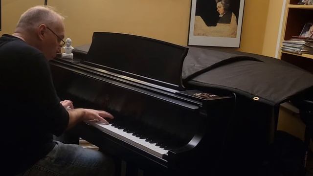 Chopin A Minor Mazurka Op 17 No 4 David Apetz Feb 2022 смотреть онлайн