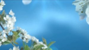 Поздравление с 8 марта! Меркнут все вокруг цветы перед красотой твоей