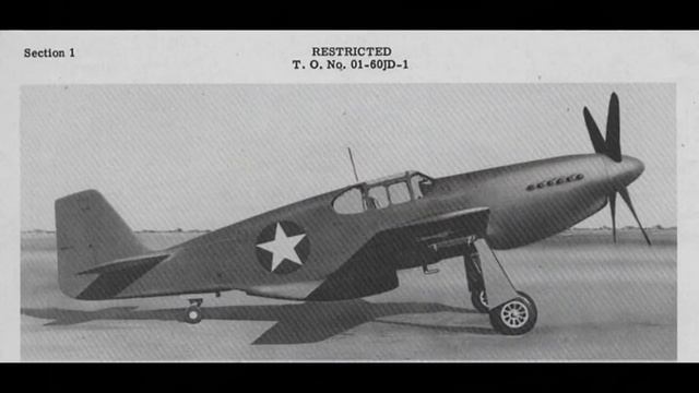 P-51 Mustang Vs. Fw 190 D-9
