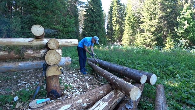 ИЗБА В ЛЕСУ - часть 4 | ставим лаги, 6 венцов и сруб готов