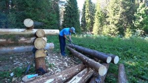 ИЗБА В ЛЕСУ - часть 4 | ставим лаги, 6 венцов и сруб готов