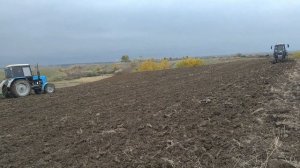 ТРАКТОР БЕЛАРУС 1221 С CЕЯЛКОЙ | Трактор Беларус 892 с Дисками