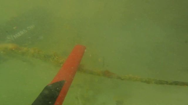 металлопоиск под водой. pinpointer XP Deus mi 6 смотреть онлайн