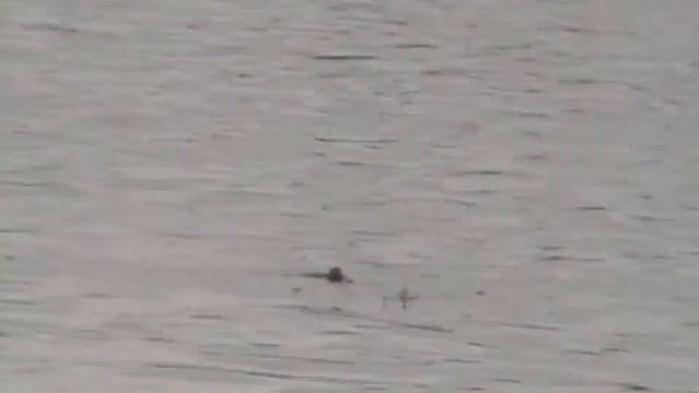 Тауй, 72-й км. Лето 1998 года , часть 2 смотреть онлайн