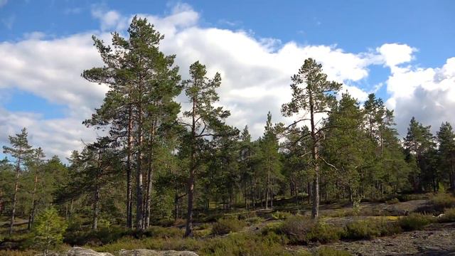 Запах осени смотреть онлайн