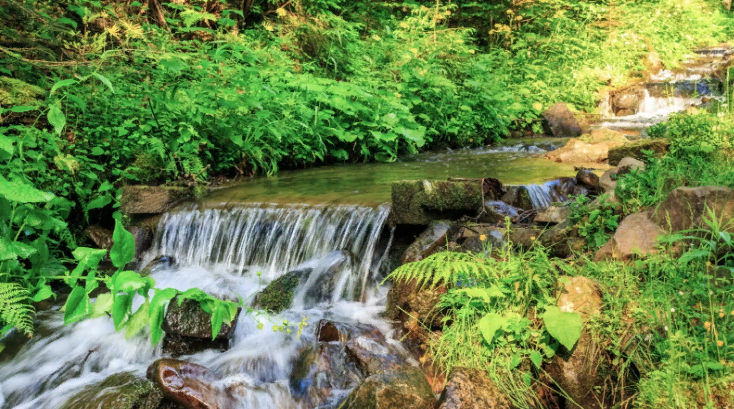 Звуки воды. Звук Текущей Реки В Неизведанной Местности, Asmr, Щебетание Лесных Птиц ✦ Успокаивающие смотреть онлайн