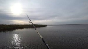 Рыбалка в Темрюке, лиманы Краснодарского Края! Рыболовная База в Темрюке