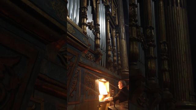 B. Pasquini, Variazioni per il Paggio Todesco, M. IMBRUNO смотреть онлайн