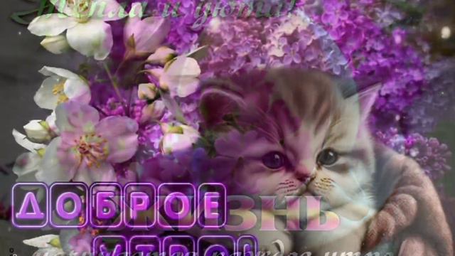 Доброе утро! Самое чудесное видео! смотреть онлайн