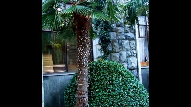 PARTENIT IN SOUTH CREMIA смотреть онлайн