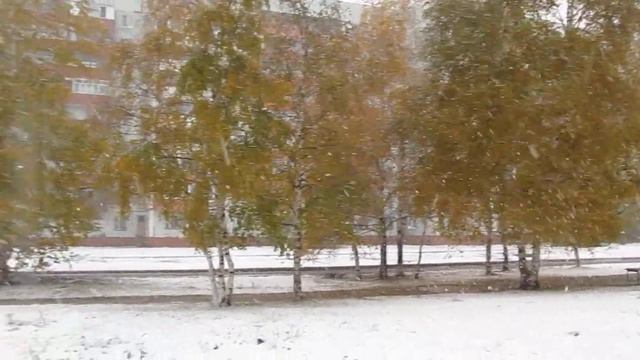 Первый снег в Шарыпово 24 сентября 2017 г. смотреть онлайн