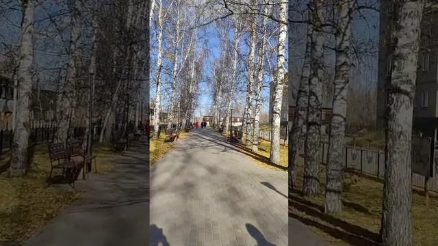 #МоряковскийЗатон# месяц назад#Центральная аллея/Обелиск/Памятник павшим в ВОВ смотреть онлайн